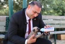 BAŞKAN BİLECEN KÖPEK BARINAĞI MERKEZİNİ ZİYARET ETTİ