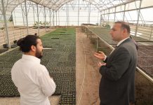 BAŞKAN BİLECEN ÇİÇEK SERASINDA İNCELEMELERDE BULUNDU