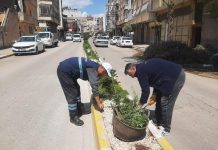 Park ve Bahçeler Müdürlüğü Tarafından Kilis Genelinde Bakım ve Onarım Çalışmaları Sürdürülüyor