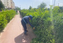 Bisiklet ve Yürüyüş Yolu Tüm Bakımları Yapıldı