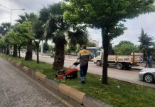 Park ve Bahçeler Müdürlüğü Ekipleri Bakım Onarım Çalışmalarına Devam Ediyor