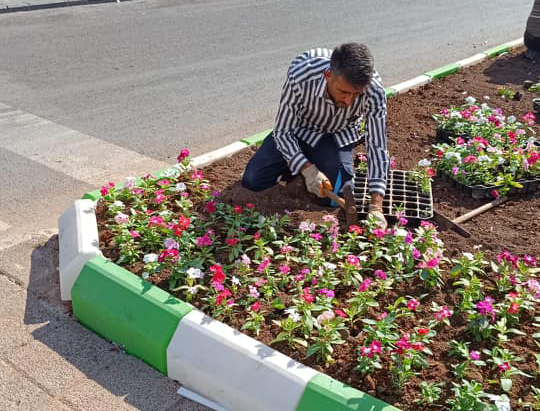 Kadı Cami Önündeki Kavşakta Çiçeklendirme Çalışması